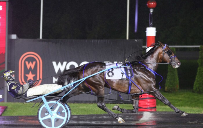 Beau Jangles (Bob McClure) is now undefeated through 15 career starts after handily winning the first Ontario Sires Stakes Gold Series test of 2026 for sophomore pacing colts on Saturday (May 23) at Woodbine Mohawk Park.