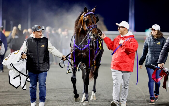 Ontario-sired Beau Jangles and caretaker Riley Noble (red jacket) after winning the Breeders Crown on Oct. 24, 2025 at Woodbine Mohawk Park.