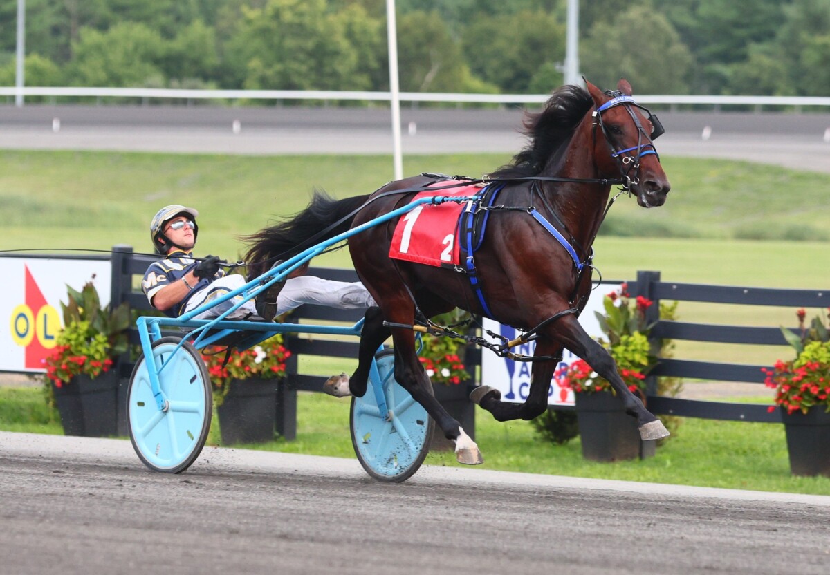 Connections trying to stay grounded as undefeated 2-year-old Beau ...