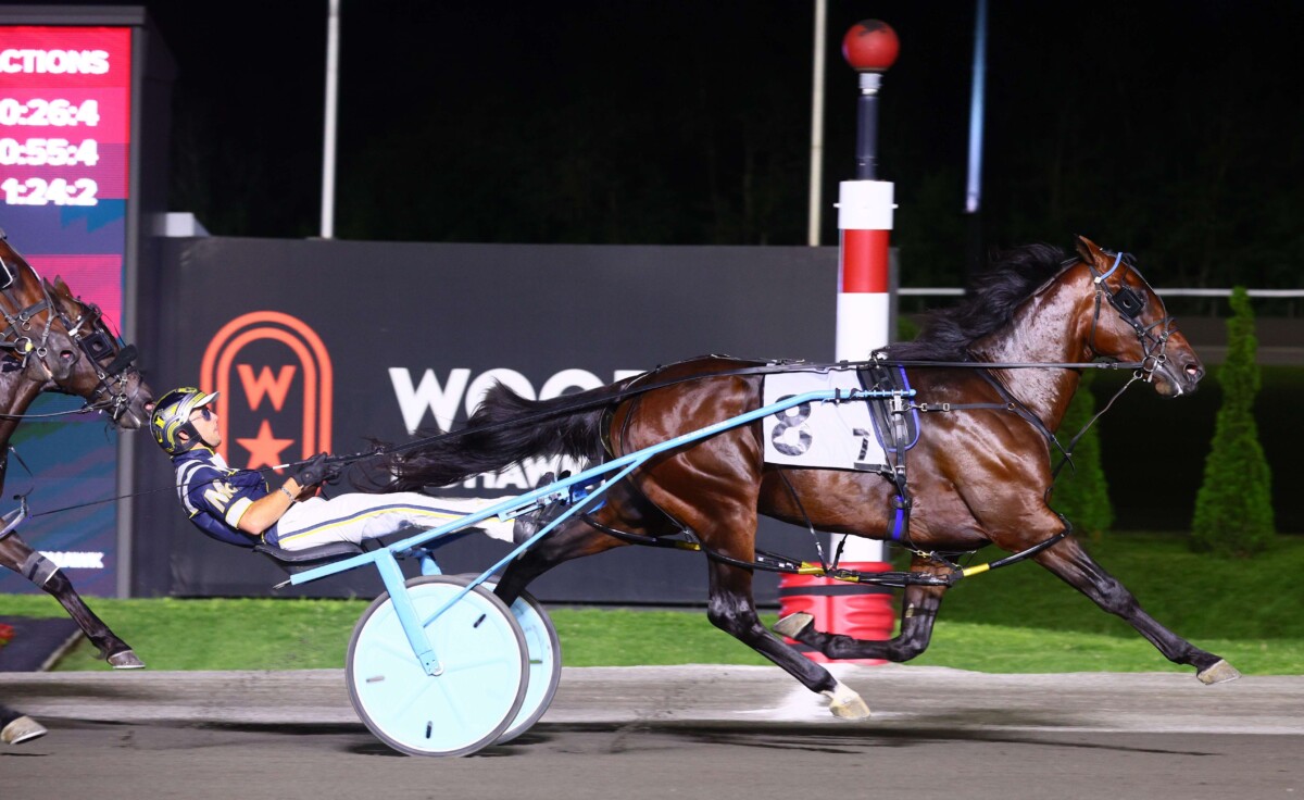 Freshman pacing colt Beau Jangles wins second OSS Gold in two weeks ...