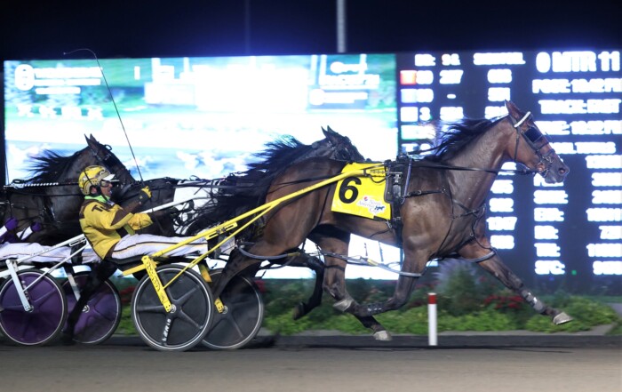 Ontario Sires Stakes Home - Ontario Sires Stakes