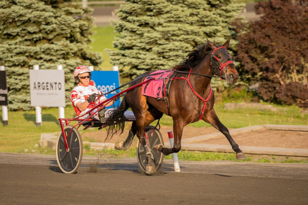 Duly Resolved wins Gold Divison