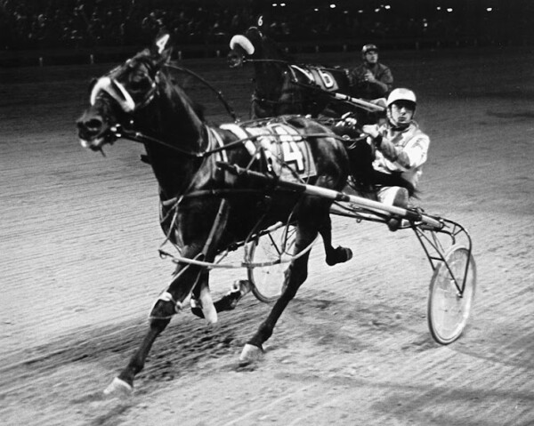 OSS 50th Anniversary: How Woodbine Mohawk Park became Ontario's ...