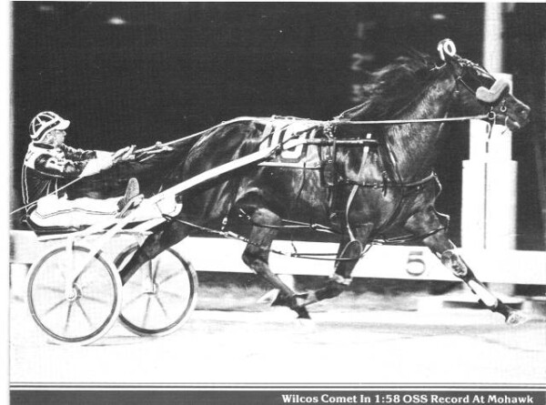 OSS 50th Anniversary: How Woodbine Mohawk Park became Ontario's ...