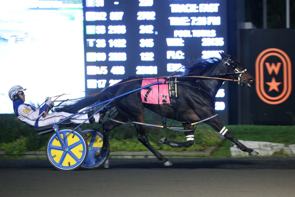 Horse crossing finish line
